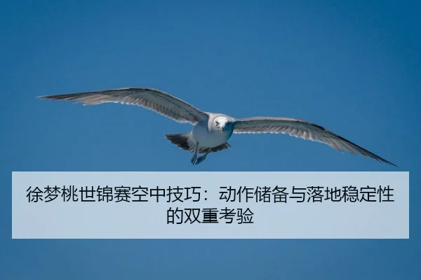 xu-meng-tao-shi-jin-sai-kong-zhong-ji-qiao-dong-zuo-chu-bei-yu-luo-di-wen-ding-xing-de-shuang-chong-kao-yan-2-626.jpg