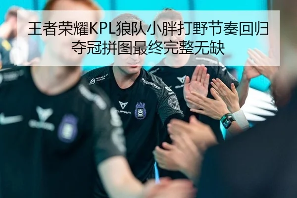 王者荣耀KPL狼队小胖打野节奏回归 夺冠拼图最终完整无缺